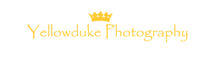 Yellowduke Photography
